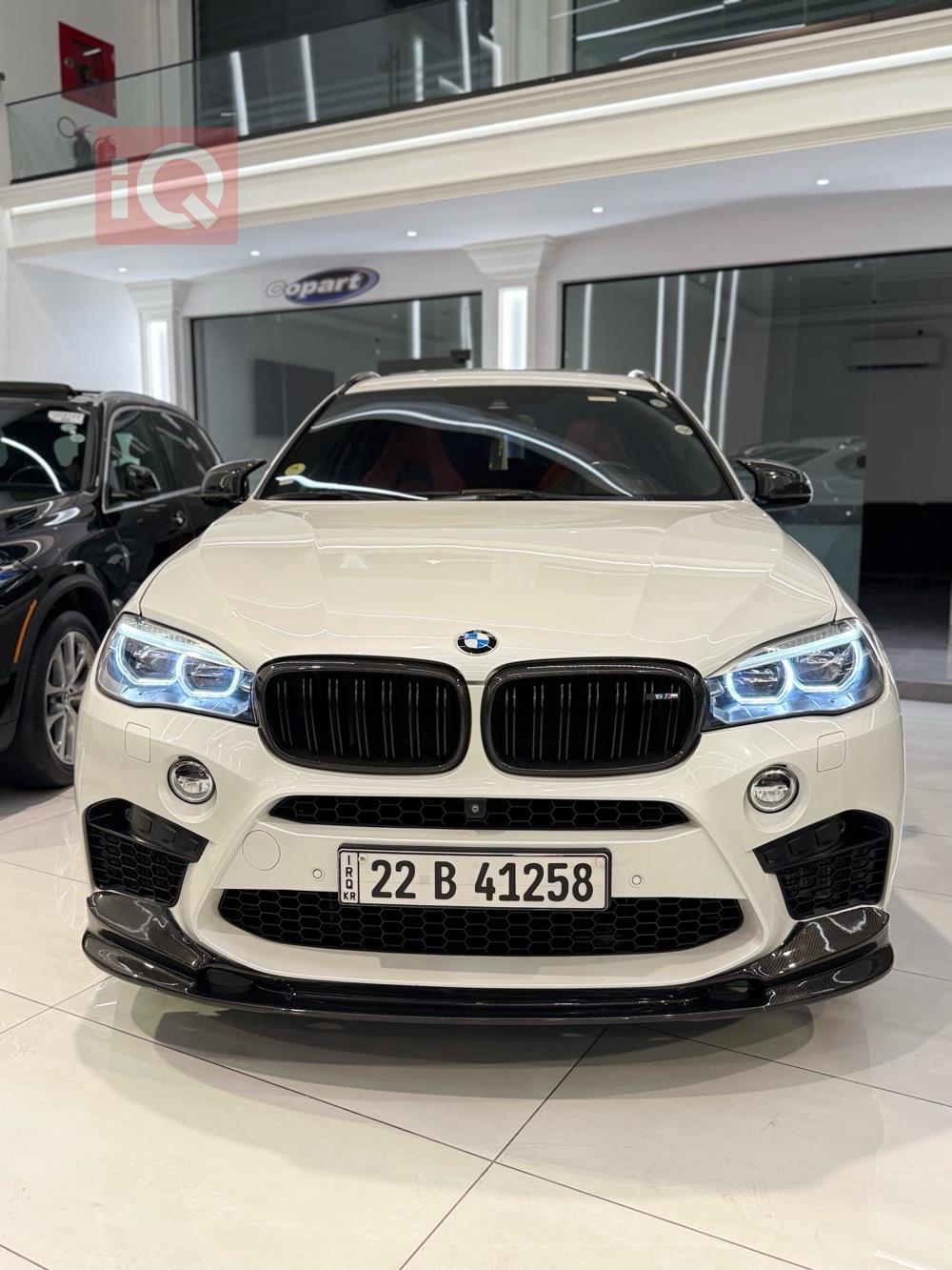 بی ئێم دەبڵیو X6